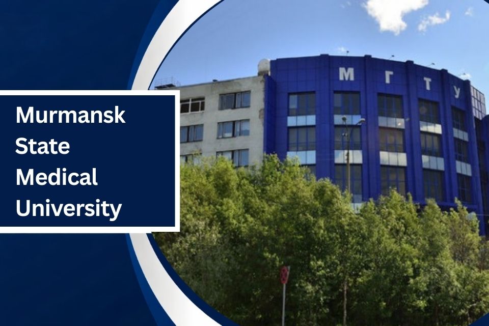 Murmansk State University: A Government Medical University in Russia