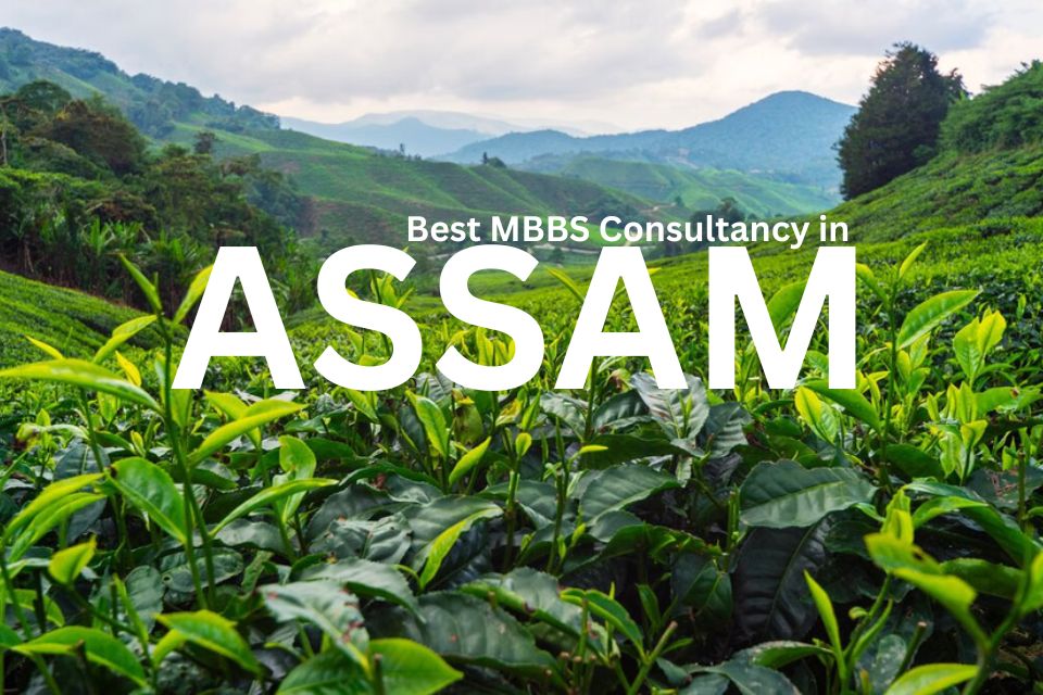 MBBS Abroad: How Students from Assam Can Apply