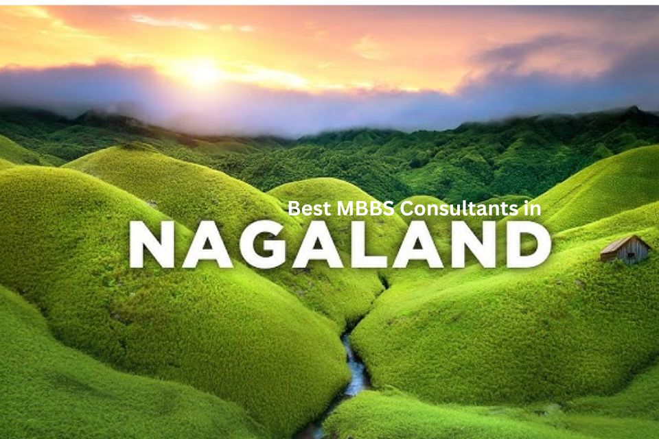 Choosing Best MBBS Abroad Consultant in Nagaland